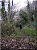 SD4872 : Scout Crag footpath by Karl and Ali