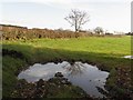 Ballypalady Townland