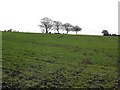 Ballylowne Townland