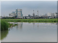 View along the River Stour to Pfizer Sandwich site