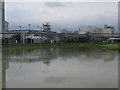 Pharmaceutical plant on the banks of the River Stour