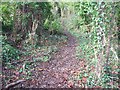 SP1636 : Path in the woods by Michael Dibb