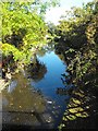 Montgomery Canal from Clerks Bridge