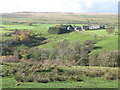 The cleugh of Acton Burn (3)