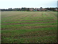 Baydale Farm from the Teesdale Way