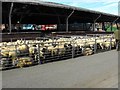 Welshpool livestock market