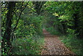 The Forest Way Cycleway