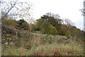 The London to Uckfield line above the Forest Way