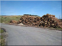 G8723 : Logpile at Bargowla by Oliver Dixon