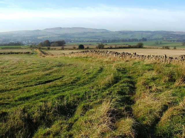 Dry-stone wall near Doghillock Farm