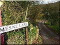 Mesne Lane, Bakewell