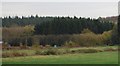 Looking towards Harrison Rocks Woods