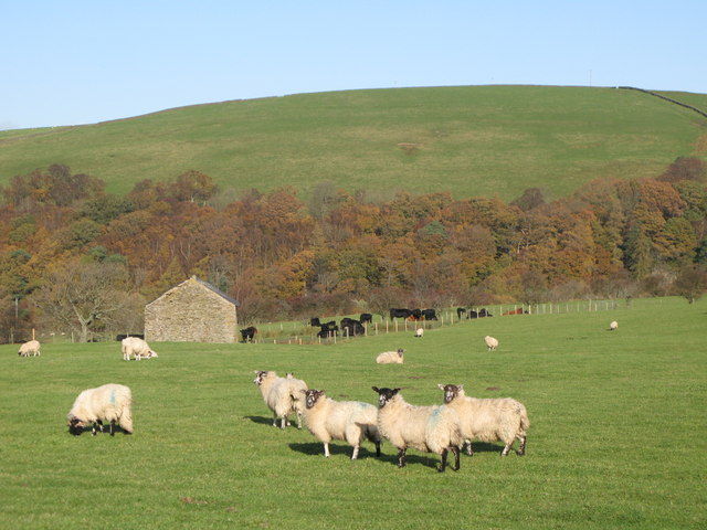 Pastures near Pry Hill (4)