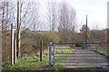 North Downs Way on a bridleway to Harbledown