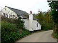 A typical Cornish roadside sight.