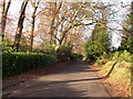 Warren Lane, Beacon Down, near Cross in Hand