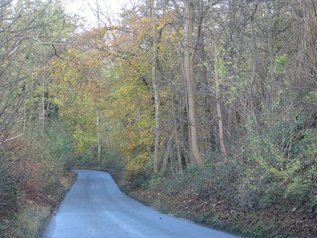 Road down Kingston Hill