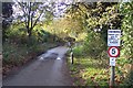 New Road leading to Blean Woods