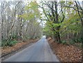 Broom Lane