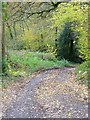 Bridleway near Broad Bridge