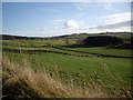 Fields near Easter Ord