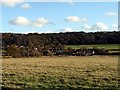 Aldbury, seen from the Gallops