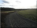 The Gallops at Aldbury