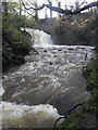 Waterfall  on the Ballybay River at Milltown