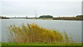 Lake, Queen Elizabeth II Country Park