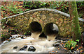 Stone bridge, Clare Glen, Tanderagee (3)