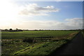 SP3602 : Fields beside the Shifford - Cote road by andrew auger