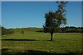 Grazing land above Clatter