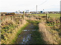 Track near Newarthill