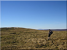 NY8224 : Summit plateau, Mickle Fell by Karl and Ali