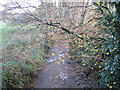 The upper reaches of the Dawlish Water