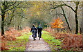 SO6413 : Family cycling in the Forest of Dean by Jonathan Billinger