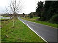 Bannfoot Road approaching the ferry