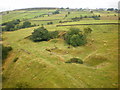 Old quarry