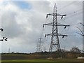 Electricity pylons at Lee Moor