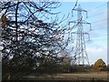 Pylon in field