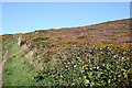 Footpath on St Agnes Beacon