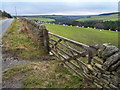 Grazing pasture at Balehill