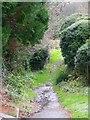 Footpath near Axford