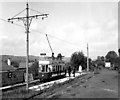 Tram at Colyton