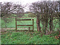 Footpath marker in hedge