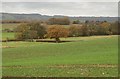 Valley south of Bishops Lydeard