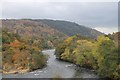 View from the bridge