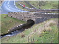 NY9917 : North Gill Bridge and Scur Beck by Philip Barker