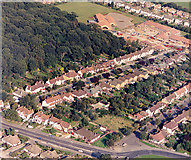 TQ8087 : Aerial view of Westwood School and West Wood by Edward Clack
