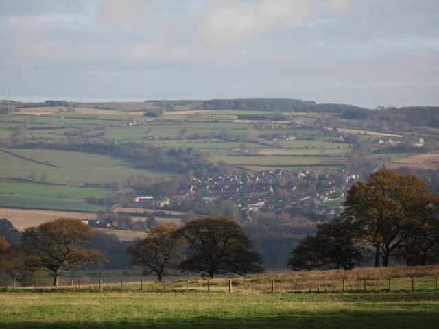 Pastures above the Tyne Valley © Mike Quinn :: Geograph Britain and Ireland